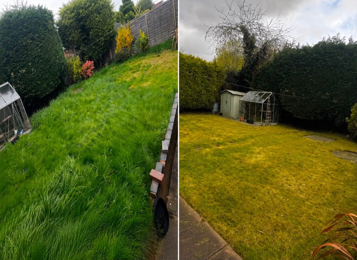 Before and after: a garden of long unkempt grass beside a greenhouse, then the same garden cut short