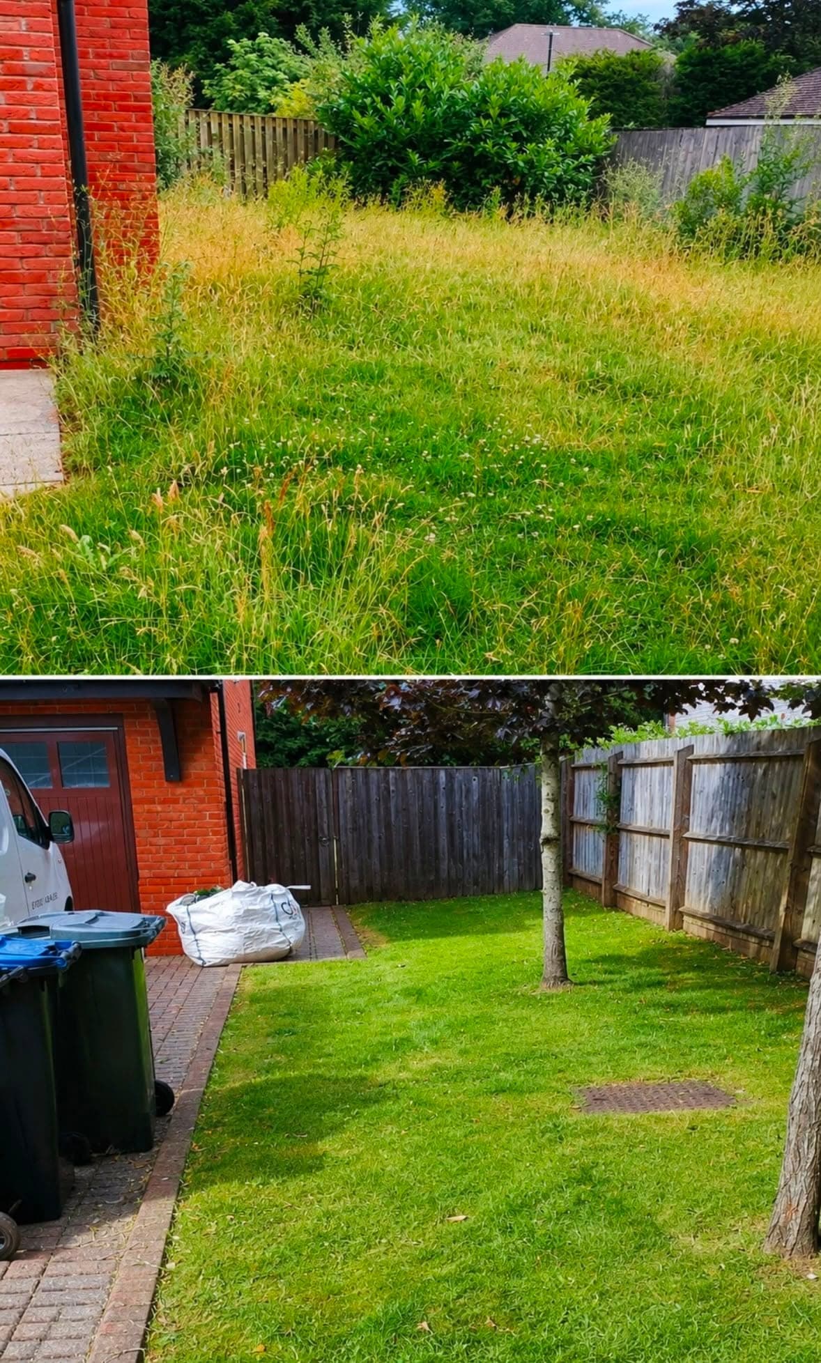 Before and after: a garden of waist-high grass, then the same garden mown flat with the waste bagged by the drive