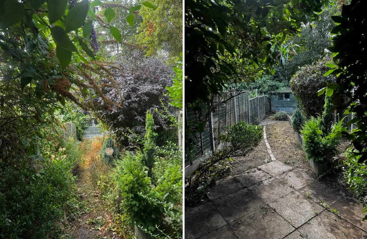 Before and after: a garden path buried under overgrown shrubs and branches, then the same path cleared back to open paving and fence