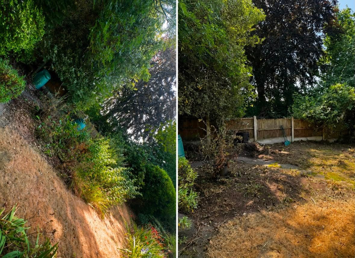 Before and after: a shaded corner packed with overgrown shrubs, then the same corner cleared back to the fence
