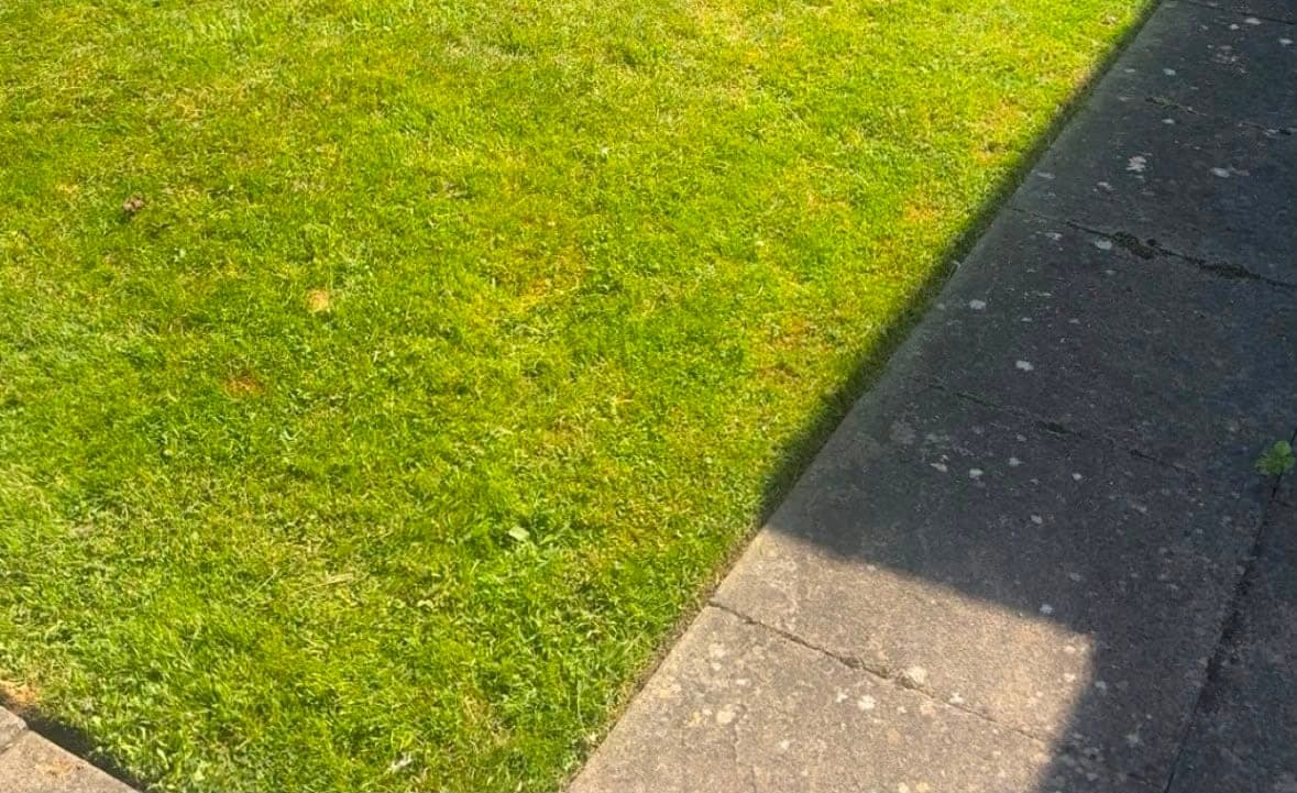 A healthy green lawn running up to a crisp paved edge